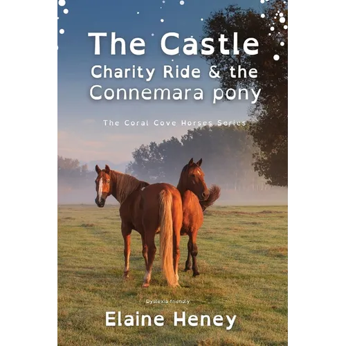 The Castle Charity Ride and the Connemara Pony - Dyslexia Friendly