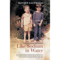 Like Sodium in Water: A memoir of home and heartache