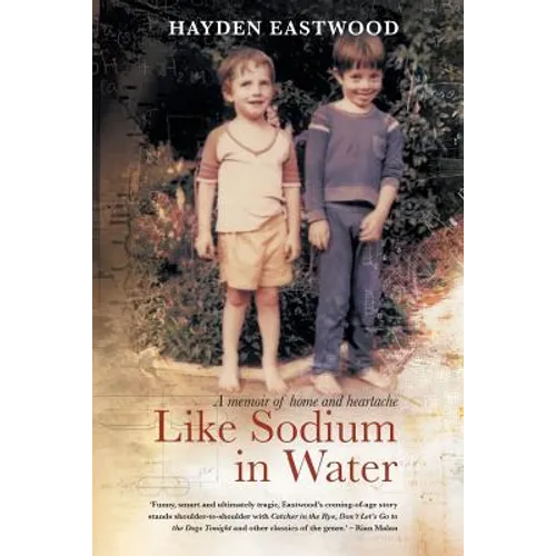 Like Sodium in Water: A memoir of home and heartache