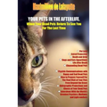 Your Pets in the Afterlife: When Your Dead Pets Return To See You For The Last Time
