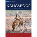Kangaroos