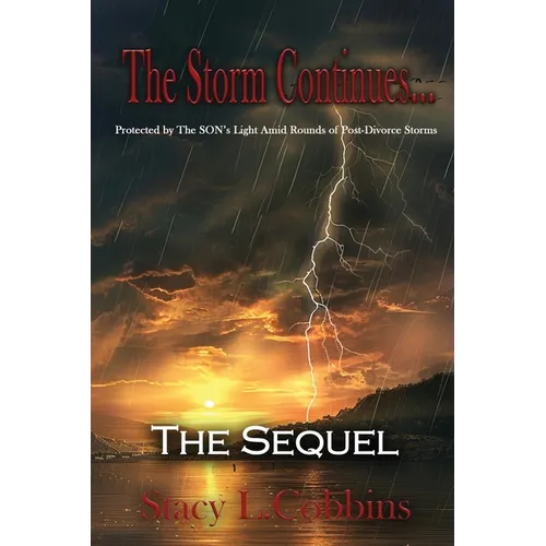 The Storm Continues... The Sequel: Protected by The Son's Light Amid Rounds of Post-Divorce Storms