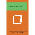 Plants Of The Bible