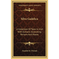 Silva Gadelica: A Collection Of Tales In Irish With Extracts Illustrating Persons And Places