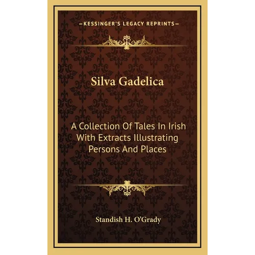 Silva Gadelica: A Collection Of Tales In Irish With Extracts Illustrating Persons And Places
