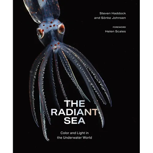 The Radiant Sea: Color and Light in the Underwater World