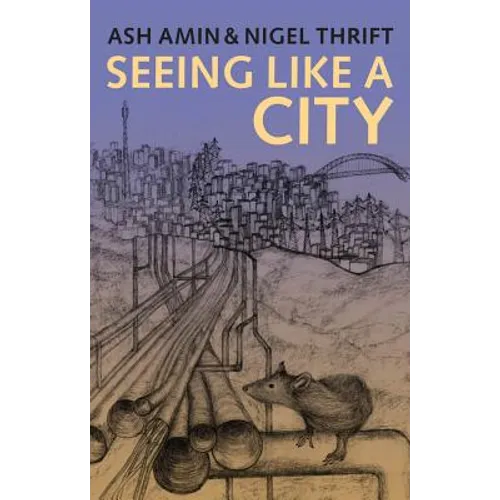 Seeing Like a City