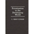 Privatization in the Developing World