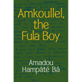 Amkoullel, the Fula Boy