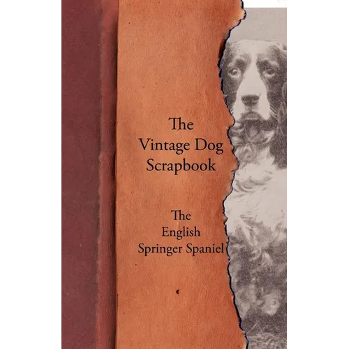 The Vintage Dog Scrapbook - The English Springer Spaniel