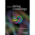 Elements of String Cosmology