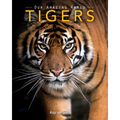 Tigers: Amazing Pictures & Fun Facts on Animals in Nature