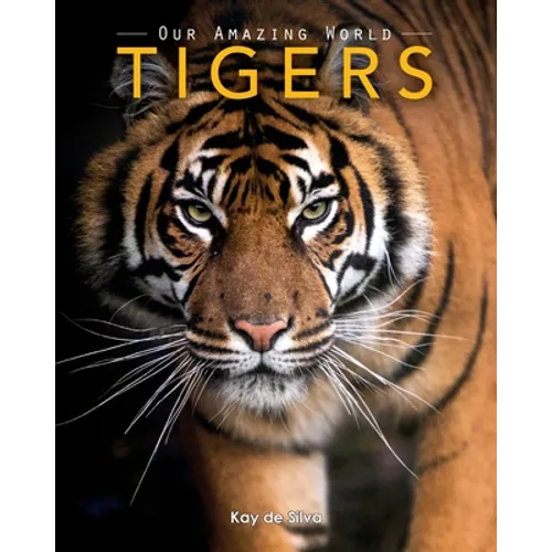 Tigers: Amazing Pictures & Fun Facts on Animals in Nature
