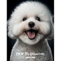 Chloe The Bichon Frise Coloring Book
