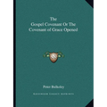The Gospel Covenant Or The Covenant of Grace Opened