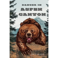 Danger In Aspen Canyon