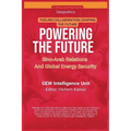 Powering The Future: Sino-Arab Relations And Global Energy Security