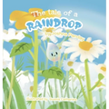The tale of a raindrop
