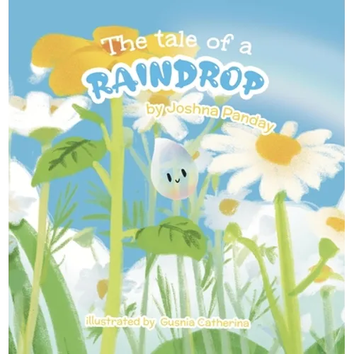 The tale of a raindrop