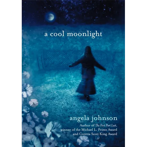 A Cool Moonlight