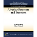 Alveolar Structure and Function