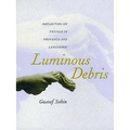 Luminous Debris: Reflecting on Vestige in Provence and Languedoc