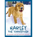 Harley the Snowdiver: Adventures with the Woodland Animals