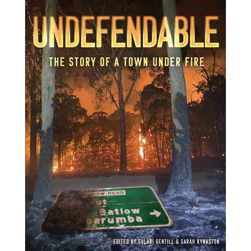 Undefendable: The Story of a Town Under Fire
