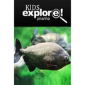 Piranha - Kids Explore: Animal books nonfiction - books ages 5-6