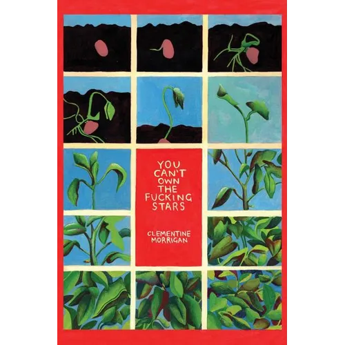 You Can't Own the Fucking Stars: Collected Writings on Trauma, Addiction, Recovery, and Transformation