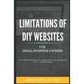 Limitations of DIY Websites: For Small Business Owners