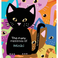The Many Meeeees of Miniki: A children's book about emotional intelligence