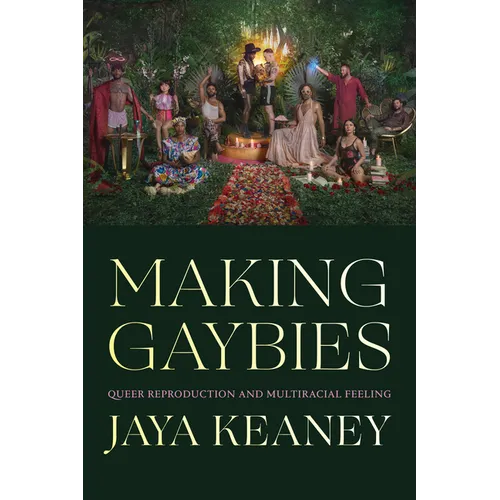 Making Gaybies: Queer Reproduction and Multiracial Feeling