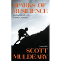 Sparks of Resilience