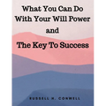 What You Can Do With Your Will Power and The Key To Success