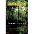 Nighthawks: Queer Love in the Darkness