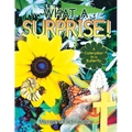 What a Surprise!: A Caterpillar to a Butterfly