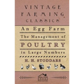An Egg Farm - The Management Of Poultry In Large Numbers