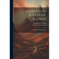Geological Survey Of Illinois: Geology And Palaeontology