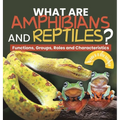 What are Amphibians and Reptiles? Functions, Groups, Roles and Characteristics Grade 6-8 Life Science