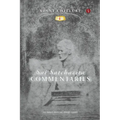 Sai Satcharita: Commentaries