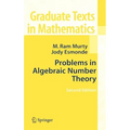 Problems in Algebraic Number Theory