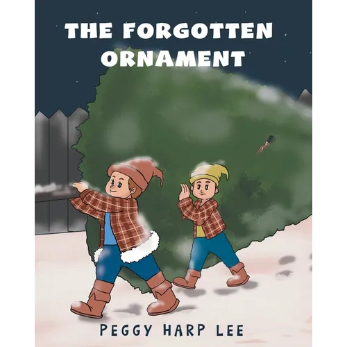 The Forgotten Ornament