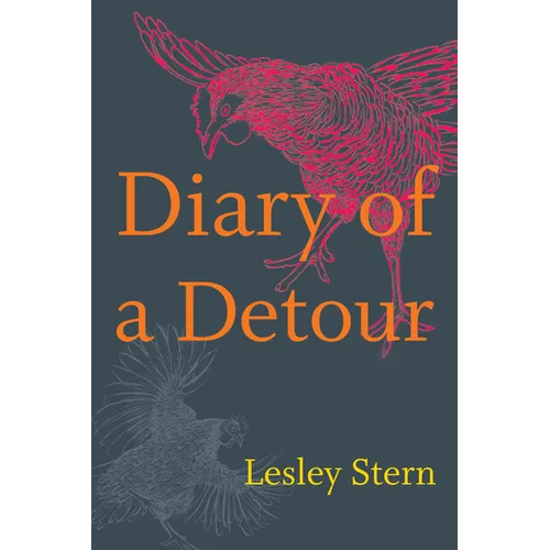 Diary of a Detour