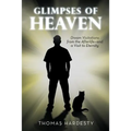 Glimpses of Heaven: Dream Visitations from the Afterlife-And a Visit to Eternity