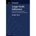 Large-Scale Inference: Empirical Bayes Methods for Estimation, Testing, and Prediction