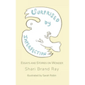 Surprised by Imperfection: Essays and Stories on Wonder