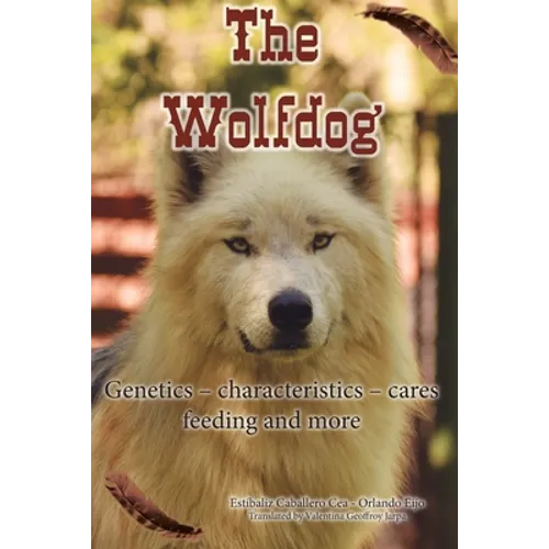 The Wolfdog: Genetics - characteristics - cares - feeding and more