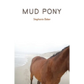 Mud Pony
