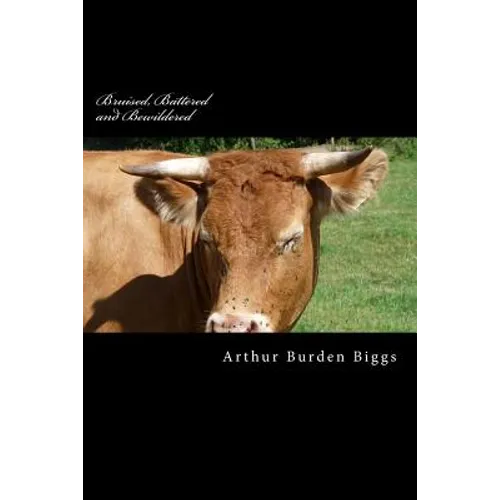 Bruised, Battered and Bewildered: A true story of an Alcoholics life